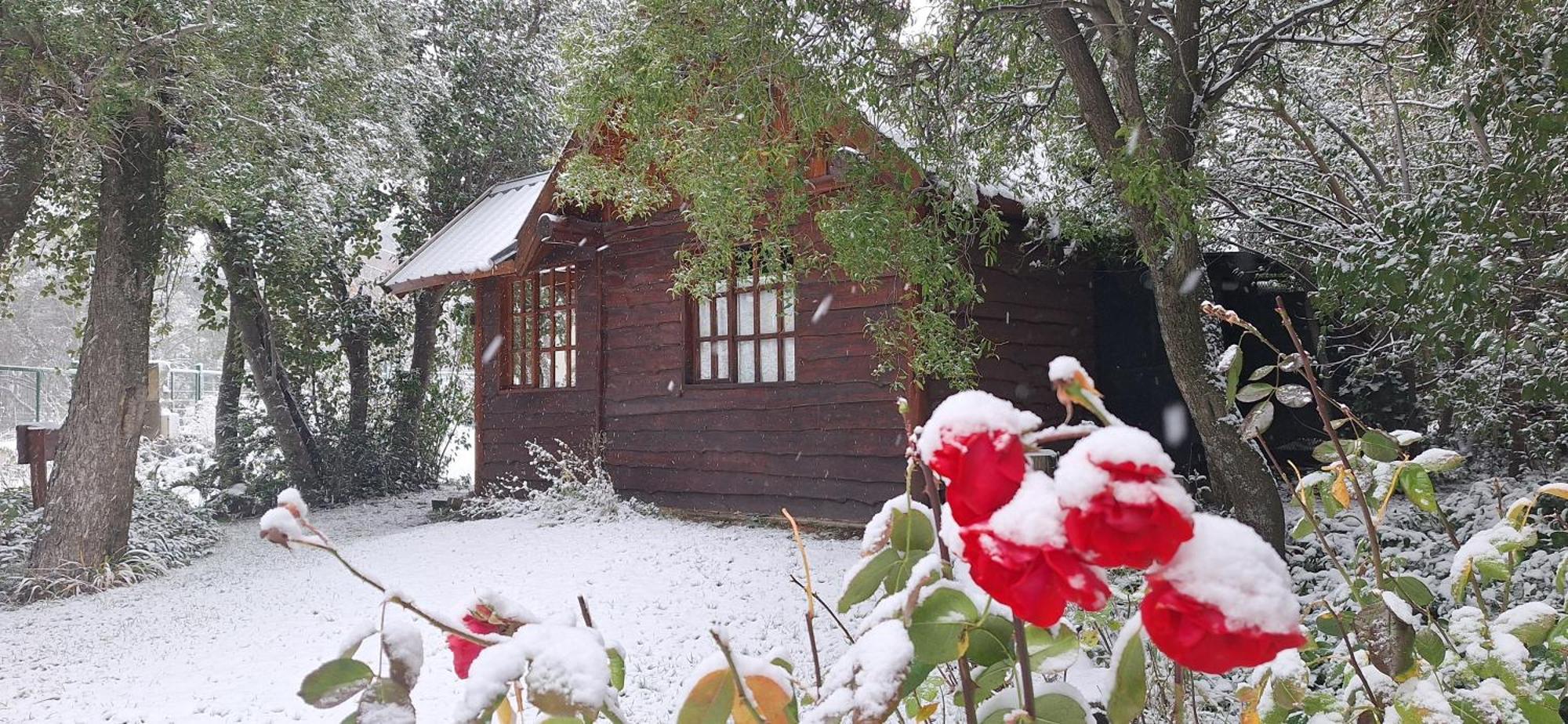 De Las Rosas Bariloche Екстер'єр фото