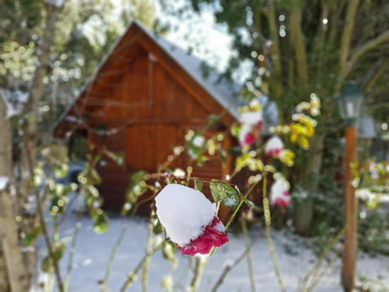 De Las Rosas Bariloche Екстер'єр фото